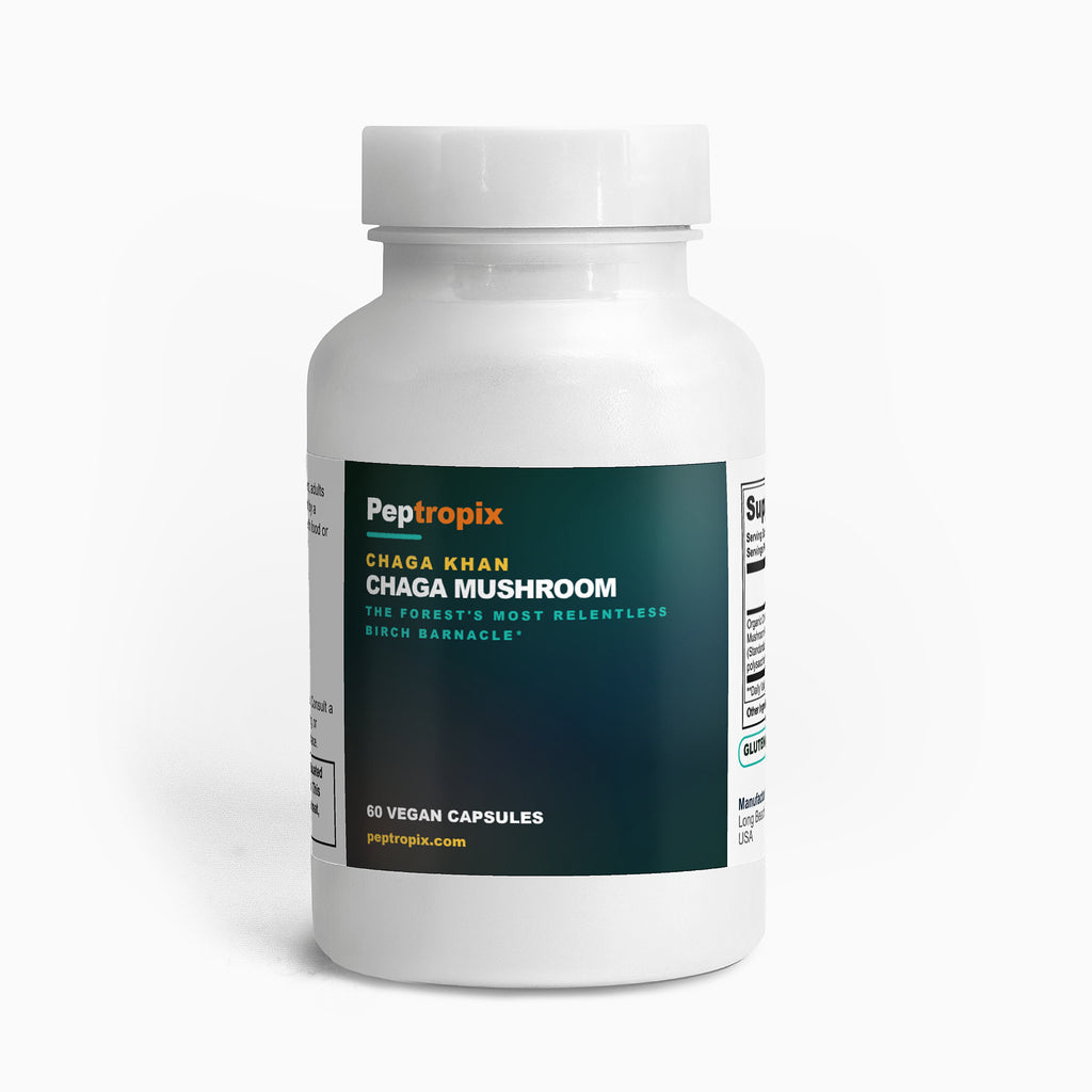 Chaga Khan - Chaga Mushroom