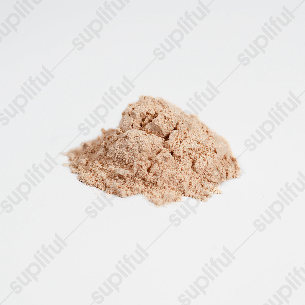 Fungi Fermented - Fermented Mushroom Blend