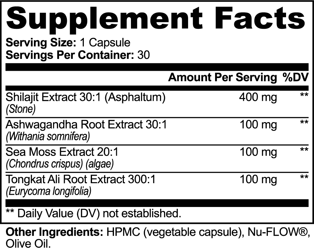Shila-Jet Fuel - Shilajit Adaptogen Complex